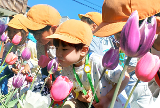 ３·４·５歳児の写真